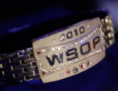 /album/wsop-naramky/wsop-bracelet-2010-png/
